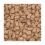Magnusson Meat & Biscuit WORK 14 kg