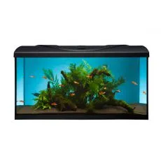 Akv&aacute;rium STARTUP 80 LED Expert 16W - ROVN&Eacute; - ČERN&Eacute;