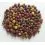 Mivardi Rapid boilies - Multi Mix 10kg