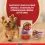 Purina ONE Mini Dog Sensitive kapsičky pro psy losos ve &scaron;ť&aacute;vě 6x(4x85 g)