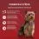 Purina ONE Mini Dog Sensitive kapsičky pro psy losos ve &scaron;ť&aacute;vě 6x(4x85 g)