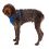 Postroj pro psy Ruffwear Front Range&reg; Harness, Blue Pool S
