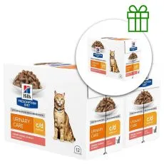 Hill's Prescription Diet Canine c/d Multicare Salmon 12 x 85 g, 2+1 ZDARMA