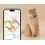 Tractive GPS CAT Mini + obojek - sledov&aacute;n&iacute; polohy a aktivity va&scaron;&iacute; kočky - mentolov&yacute;