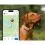 Tractive DOG 6 - GPS lok&aacute;tor pro psy a monitor zdrav&iacute;, hněd&yacute;
