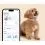 Tractive DOG 6 - GPS lok&aacute;tor pro psy a monitor zdrav&iacute;, hněd&yacute;