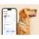 Tractive DOG 6 - GPS lok&aacute;tor pro psy a monitor zdrav&iacute;, m&aacute;tov&yacute;