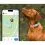 Tractive DOG 6 - GPS lok&aacute;tor pro psy a monitor zdrav&iacute;, m&aacute;tov&yacute;