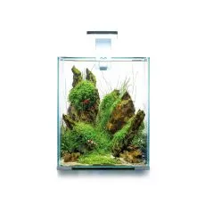 AQUAEL SHRIMP SET SMART D&N 20 B&Iacute;L&Yacute;