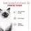 ROYAL CANIN Kitten granule pro koťata v jejich druh&eacute; f&aacute;zi růstu 4 kg
