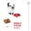 ROYAL CANIN Kitten granule pro koťata v jejich druh&eacute; f&aacute;zi růstu 4 kg