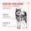 Royal Canin Joint & Ageing Chews Adult Supplements 240 g