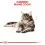ROYAL CANIN Maine Coon Adult 0,4 kg