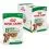 Royal Canin Dog Mini Ageing kapsička v &scaron;ť&aacute;vě 12 x 85 g