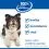 Hill's Science Plan Hypoallergenic konzerva pro dospěl&eacute; psy s lososem 12 x 363 g