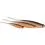 Westin SHADTEEZ PIN-TAIL 13cm/6g Lime Chartreuse 2x