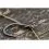 Korum Smokeshield Coated Braid 10m 20lb 