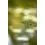 Korum Limitless Feeder 12ft 3.6m/120g/3