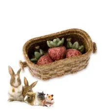 Veggie Bites BERRY - pamlsek pro hlodavce a kr&aacute;l&iacute;ky