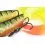 Fox Rage Pro Grub Loaded 16cm UV Perch