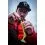 Fox Rage Pro Grub Loaded 16cm UV Perch