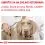 Royal Canin VHN Neutered Adult Small Dog 3,5 kg - PO&Scaron;KOZEN&Yacute; OBAL