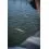 Fox Rage Warrior Zander Jig 240cm/10-30g