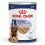 Royal Canin Maxi Adult konzerva 12 x 410 g