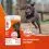 8in1 Vitality Calcium Tablets + D3, 155 tbl