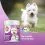 8in1 Vitality Multivitamin Small Breed 70 tbl