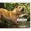 Tractive DOG 6 XL &ndash; GPS lok&aacute;tor pro psy a monitor zdrav&iacute;, hněd&yacute;