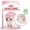 Royal Canin KITTEN 10 kg + 12 kapsiček ZDARMA