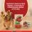 Purina ONE MINI Dog Active kapsičky pro psy hověz&iacute;, kachna ve &scaron;ť&aacute;vě 10x85 g