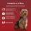 Purina ONE MINI Dog Active kapsičky pro psy hověz&iacute;, kachna ve &scaron;ť&aacute;vě 10x85 g