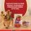 Purina ONE Mini Dog Sensitive kapsičky pro psy losos ve &scaron;ť&aacute;vě 10x85 g