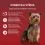 Purina ONE Mini Dog Sensitive kapsičky pro psy losos ve &scaron;ť&aacute;vě 10x85 g