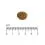 Eminent Selection Adult Cat Poultry 10+2 kg