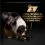 Purina Pro Plan All Size Adult Everyday Nutrition Fish in Gravy 400 g