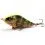 Salmo Slider Floating 5cm/6g Gold Fluo Perch