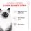 Royal Canin Kitten Instinctive Gravy kapsička ve &scaron;ť&aacute;vě pro koťata 36 x 85 g