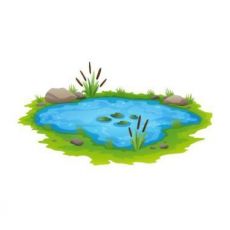 Jezírka - Black Friday