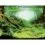 Pozad&iacute; do akv&aacute;ria PLANTS/OCEANS XL - 150 x 60 cm