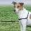 Postroj proti tah&aacute;n&iacute; EasyWalk Harness &ndash; M, čern&yacute;
