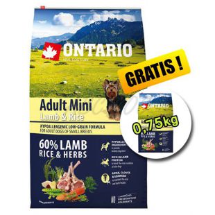 ONTARIO Adult Mini Lamb & Rice 6,5kg + 0,75kg