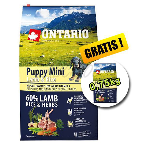 Ontario puppy mini 2025 lamb and rice