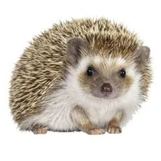 Klec pro ježka