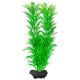 Cabomba caroliniana (Green Cabomba) - rostlina Tetra 23 cm, M