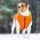 Vesta AiryVest Colar oranžovo-zelen&aacute;, M 45