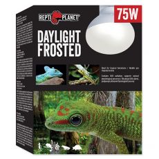 Žárovka REPTI PLANET Daylight Frosted 75 W