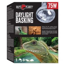 Žárovka REPTI PLANET Daylight Basking Spot 75 W